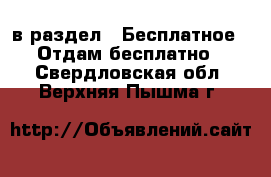  в раздел : Бесплатное » Отдам бесплатно . Свердловская обл.,Верхняя Пышма г.